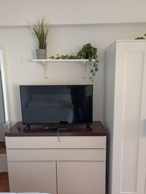 Estudio Miramarprimera Linea Playa Amazing Views 贝纳尔马德纳 外观 照片