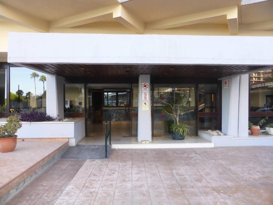 Estudio Miramarprimera Linea Playa Amazing Views 贝纳尔马德纳 外观 照片